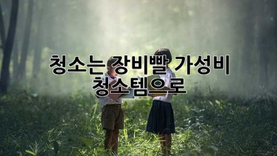 ✨ 청소는 장비빨! 가성비 청소템으로 ✨